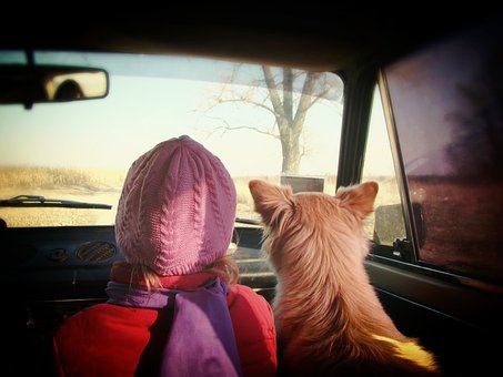agirl sitting in a car with her dog