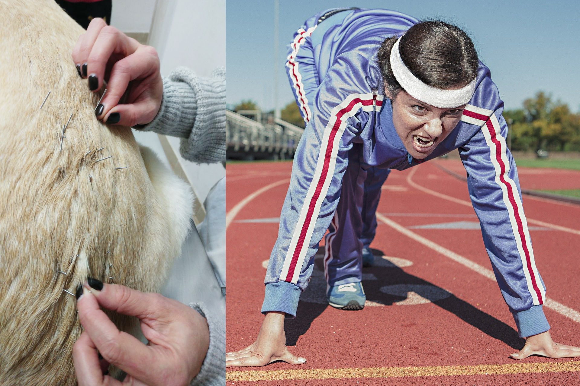 acupuncture needles on a dog and a women running